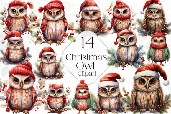 Christmas Owl Clipart: A Designer's Review for Modern Illustrations