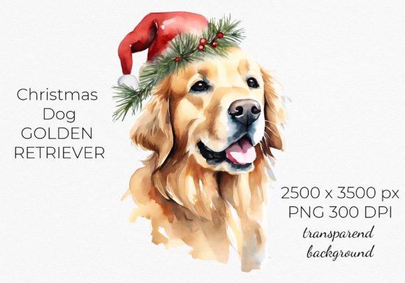 Golden Retriever Christmas, Santa Hat Review